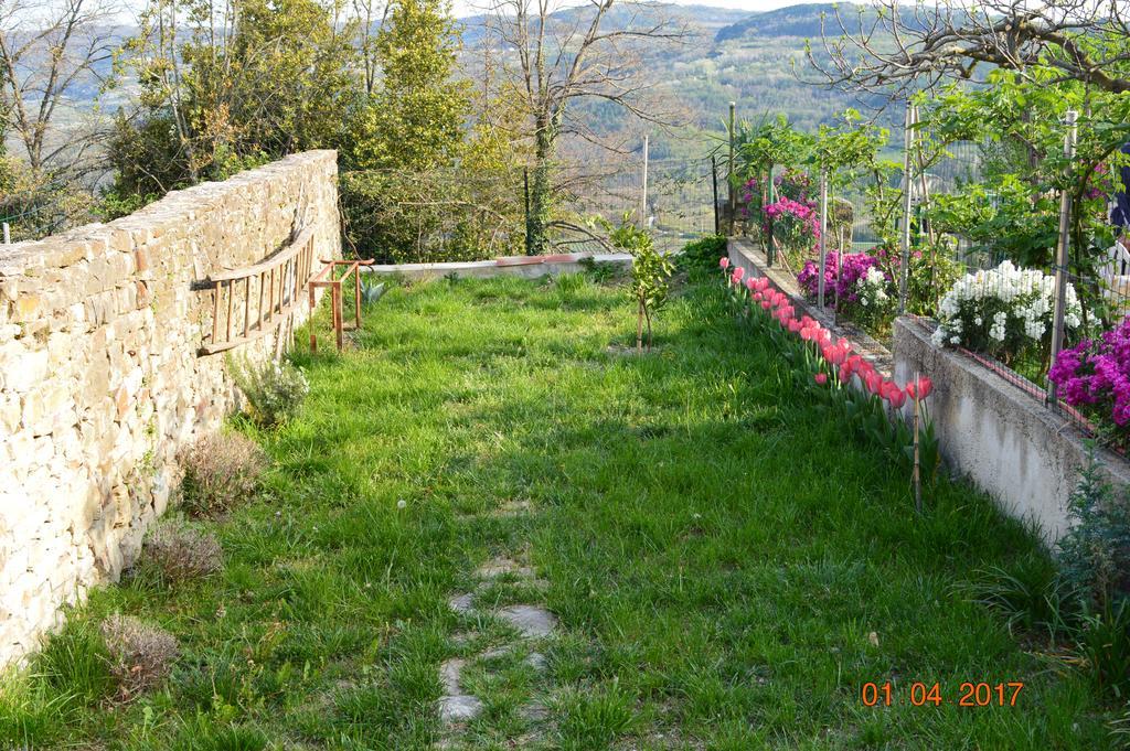 Willa House Of Veli Joze Motovun Zewnętrze zdjęcie