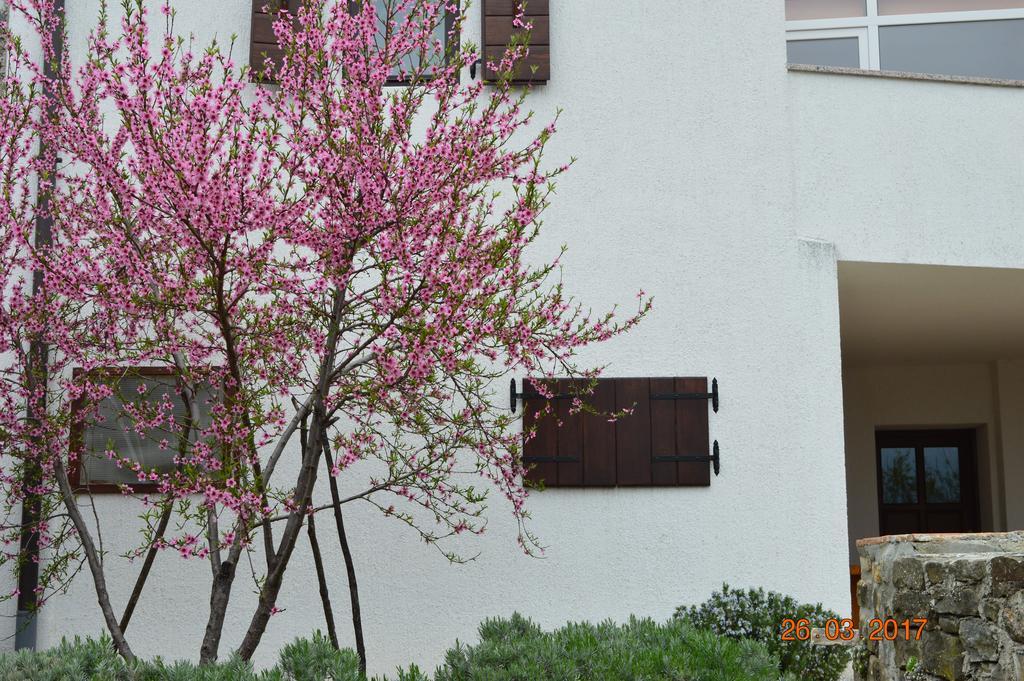 Willa House Of Veli Joze Motovun Zewnętrze zdjęcie